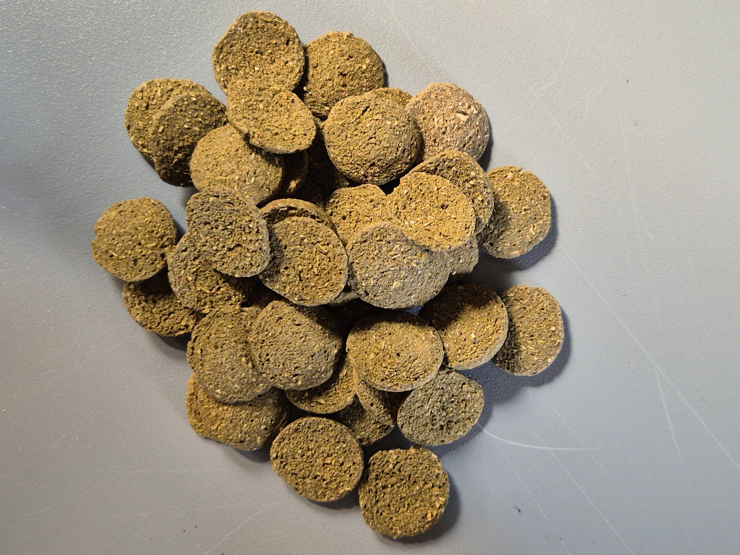 Algae Wafers